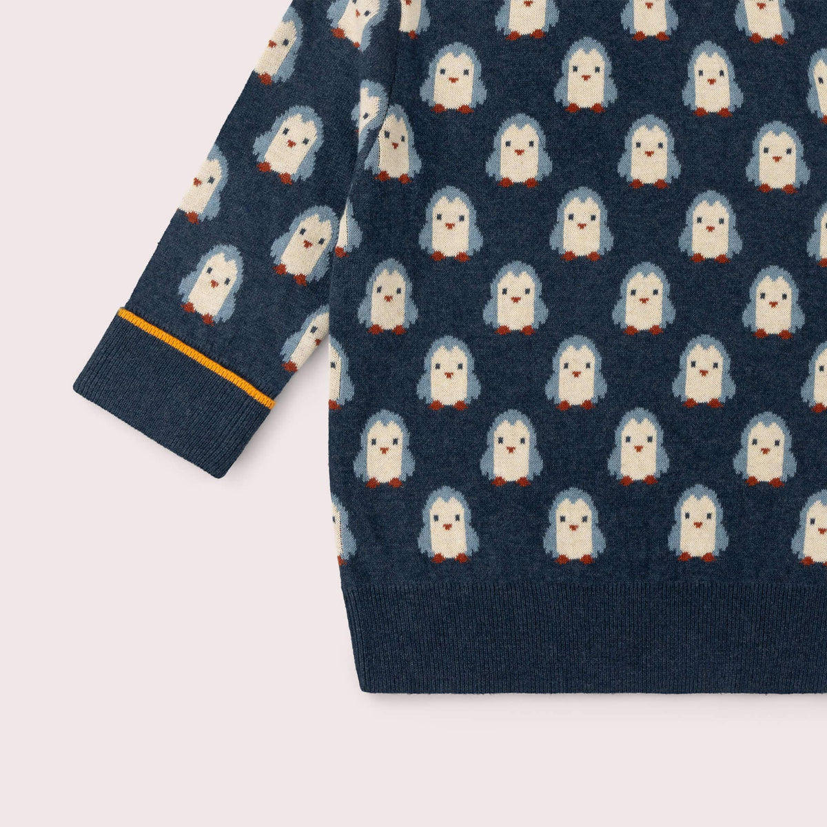 Organic Cotton Knitted Sweater - Blue, Penguins