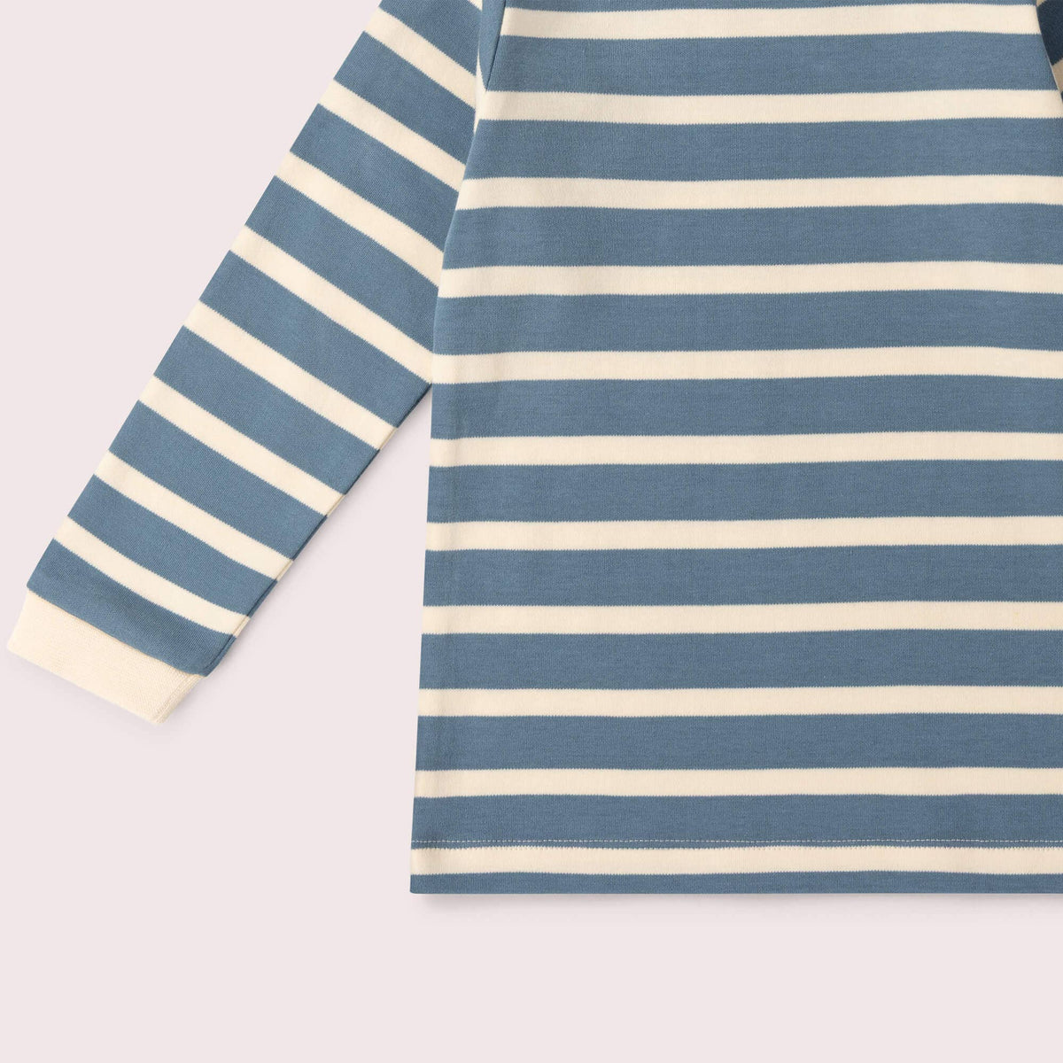 Organic Cotton Long Sleeve T-Shirt - Blue, Striped
