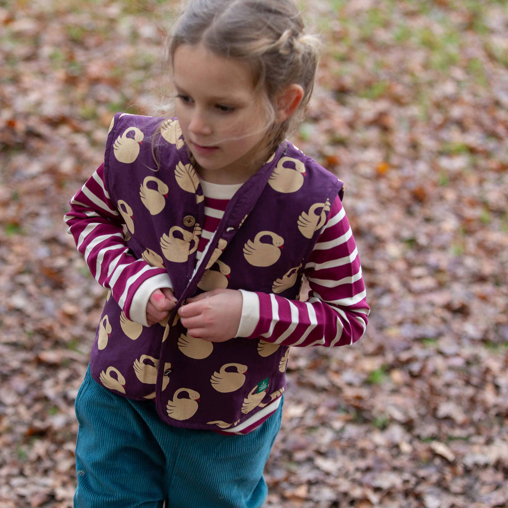 Organic Cotton Long Sleeve T-Shirt - Berry, Striped
