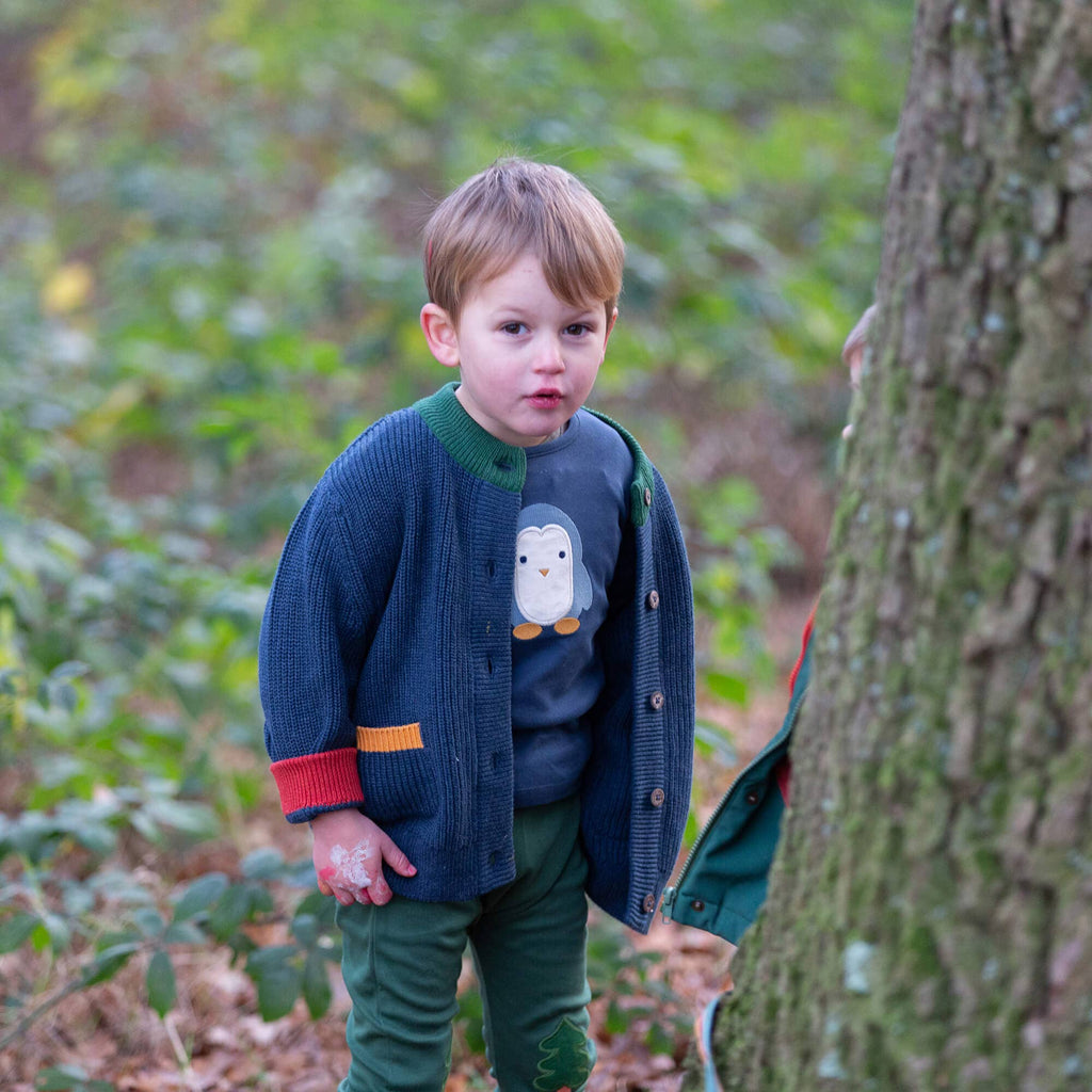 Organic Cotton Long Sleeve T-Shirt - Blue, Penguin Appliqué